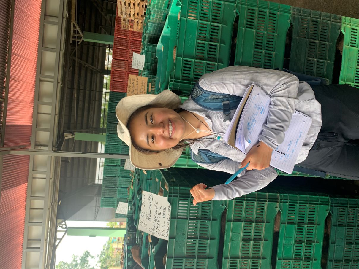Lily Hestjean at yuca processing plant.