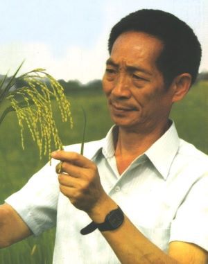 Prof. Yuan Longping